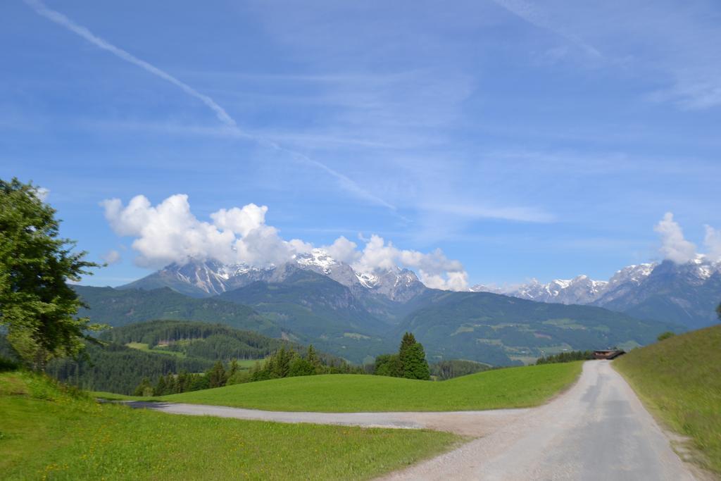 Appartement Steinerhof Werfenweng Cameră foto